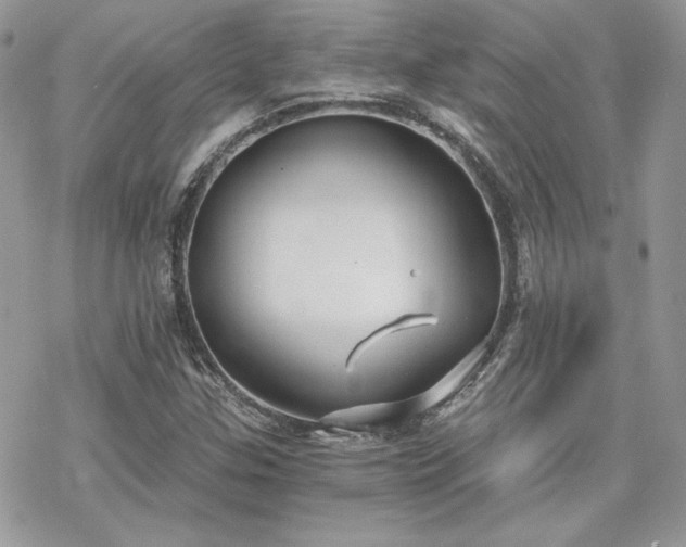 X0000070241307200606051115