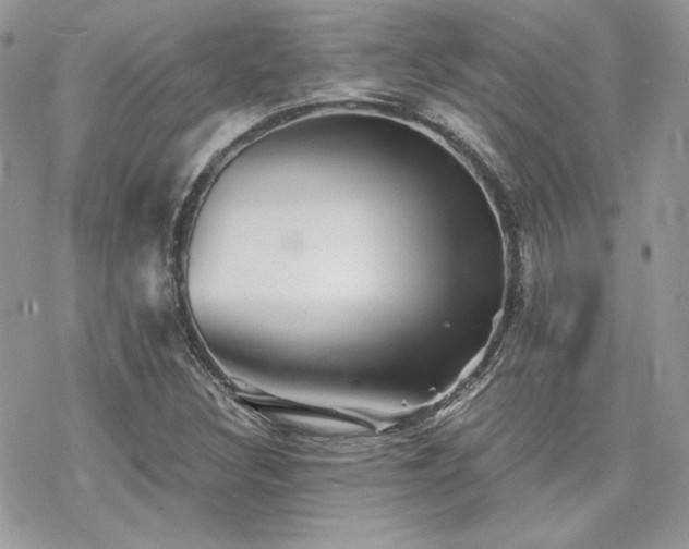 X0000070241308200606051115