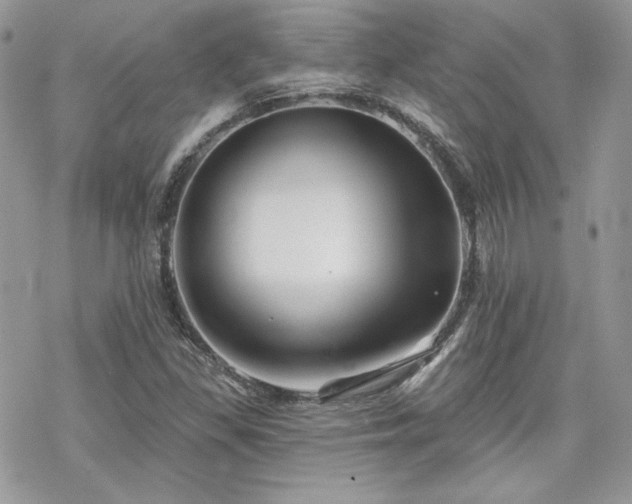 X0000070241309200606051115