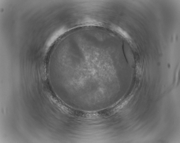 X0000070241310200606051115