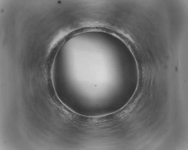 X0000070241311200606051115