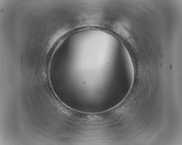 X0000070241312200606051115