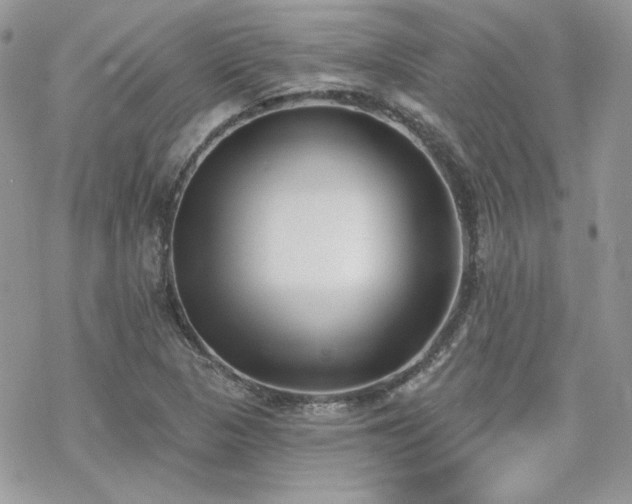 X0000070241313200606051115