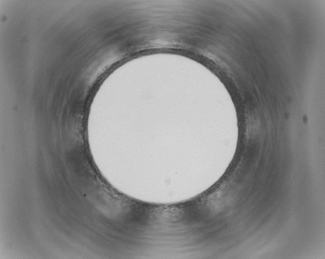 X0000070241314200606051115