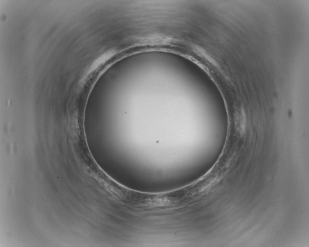 X0000070241315200606051115