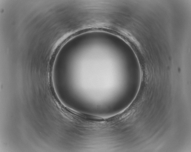 X0000070241316200606051115