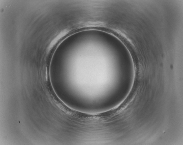 X0000070241317200606051115