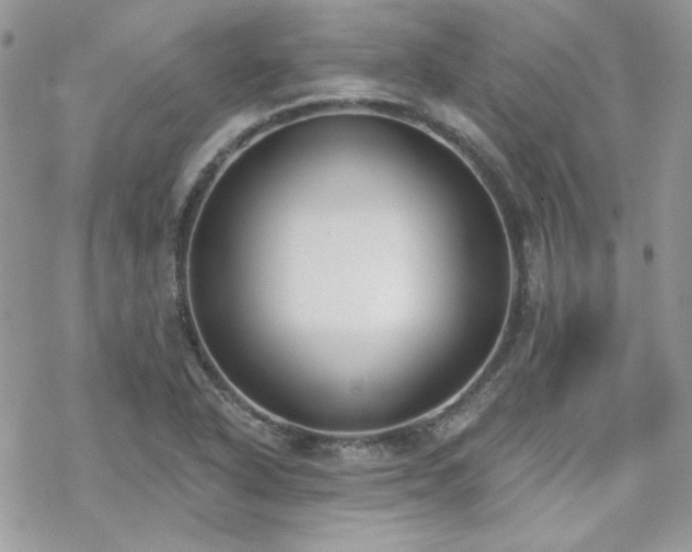 X0000070241318200606051115