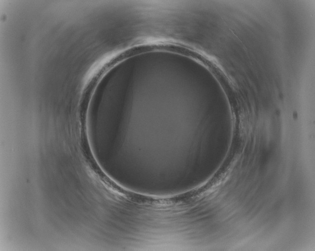 X0000070241319200606051115