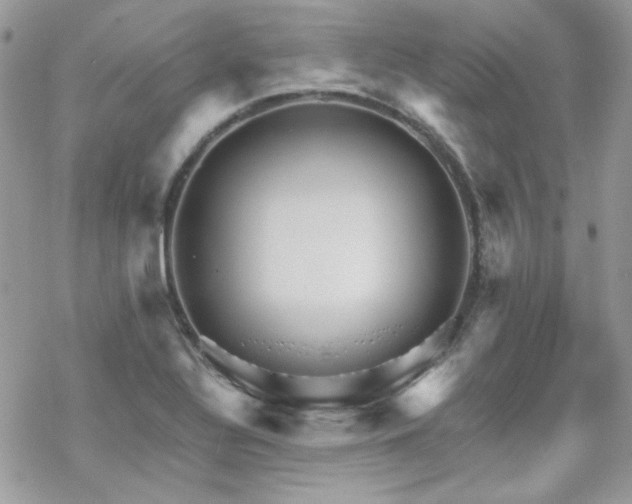 X0000070241320200606051115