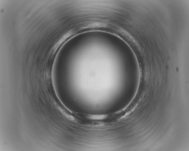 X0000070241321200606051115