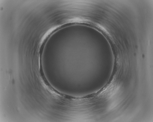 X0000070241323200606051115