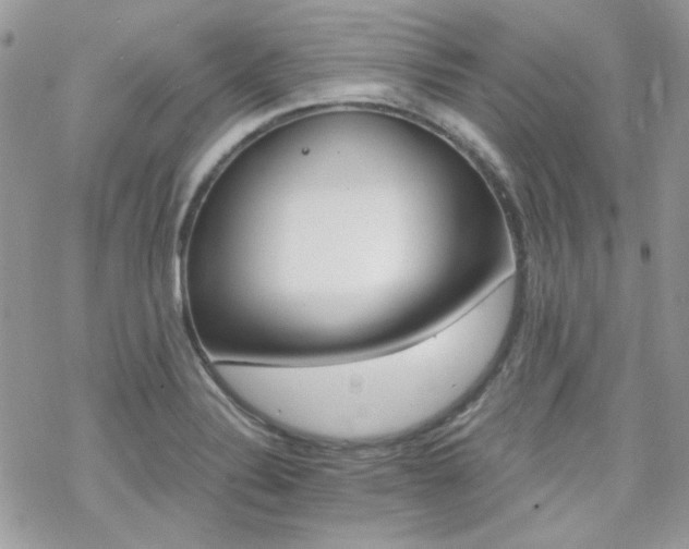 X0000070241324200606051115