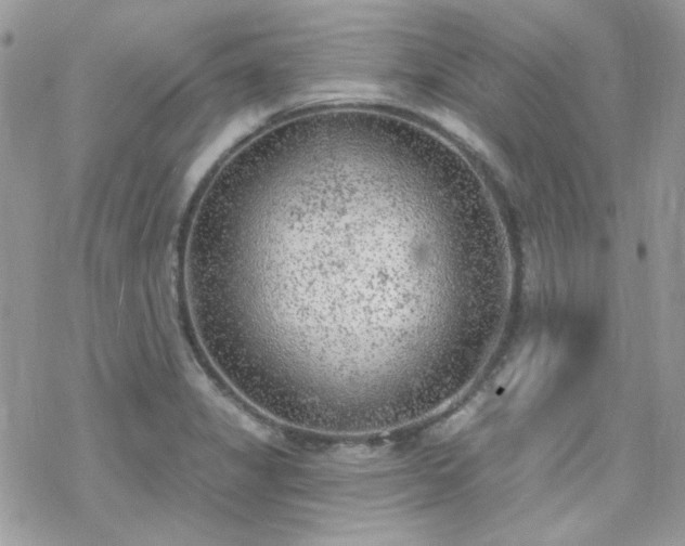 X0000070241325200606051115