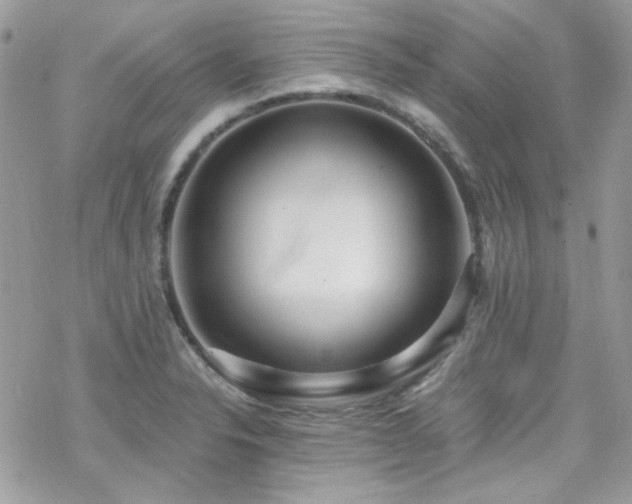 X0000070241326200606051115