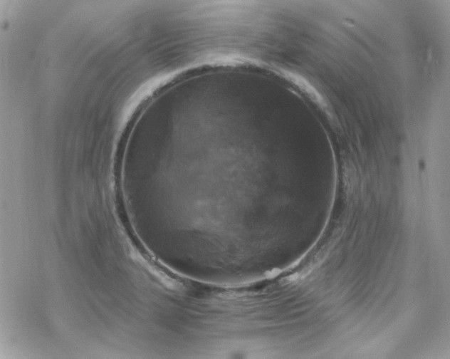 X0000070241327200606051115