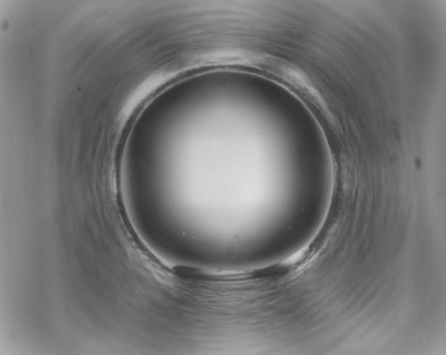 X0000070241328200606051115