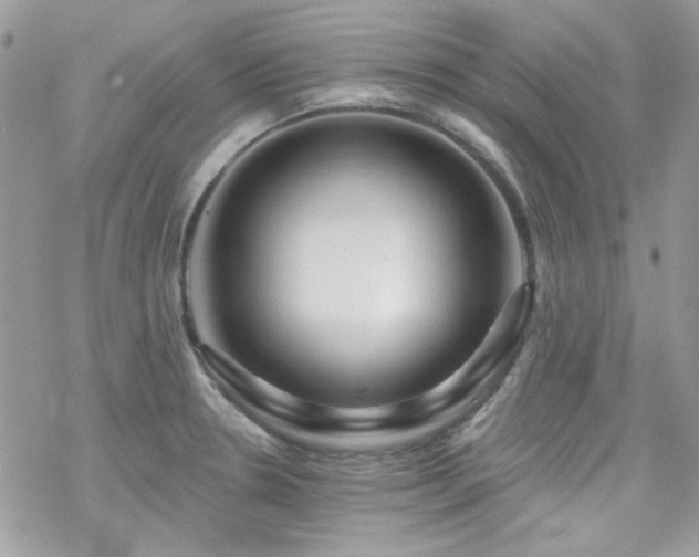 X0000070241330200606051115