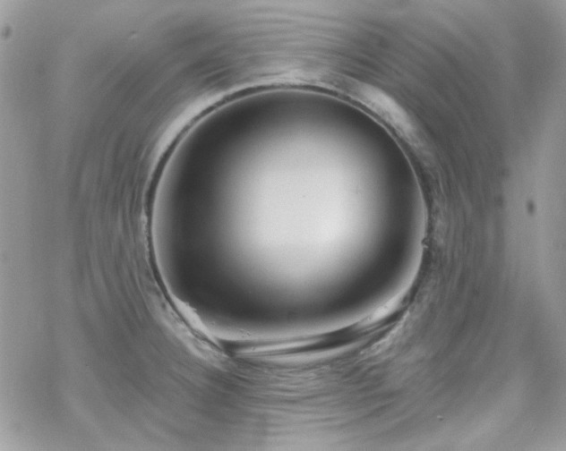 X0000070241332200606051115