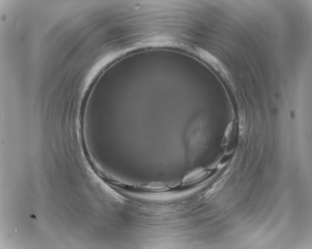 X0000070241334200606051115