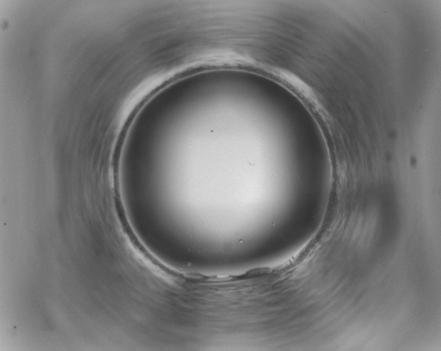 X0000070241335200606051115