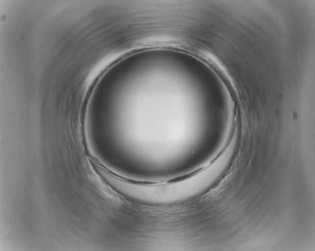 X0000070241336200606051115