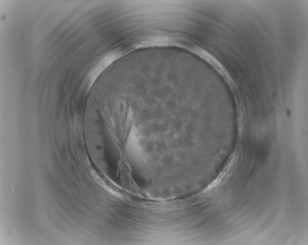 X0000070241337200606051115