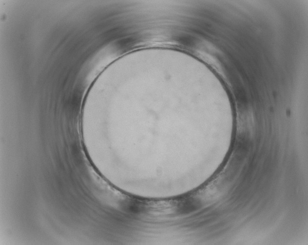 X0000070241338200606051115