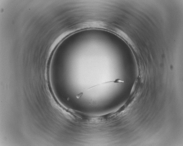 X0000070241339200606051115