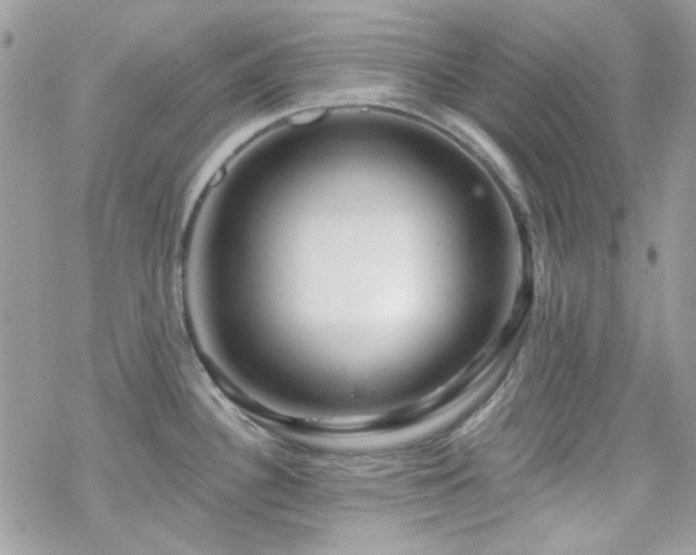 X0000070241340200606051115