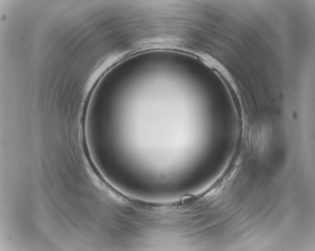 X0000070241341200606051115