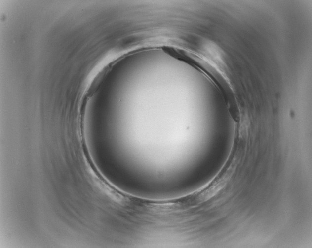 X0000070241342200606051115