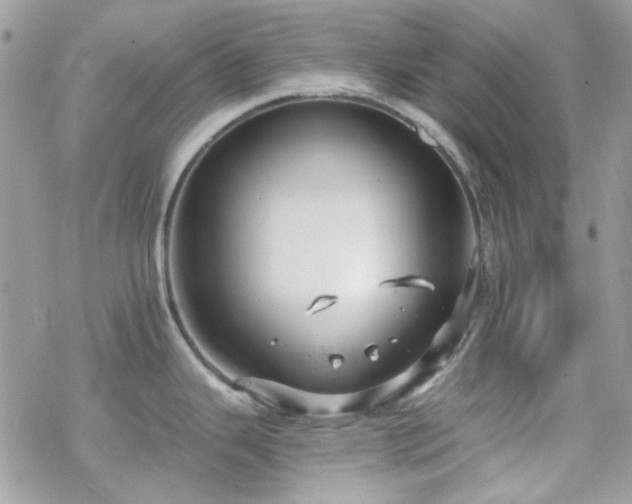 X0000070241343200606051115