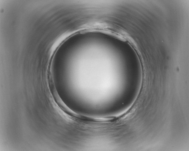 X0000070241344200606051115