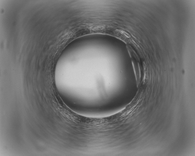 X0000070241345200606051114