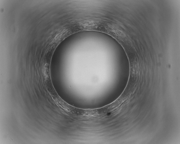 X0000070241346200606051114