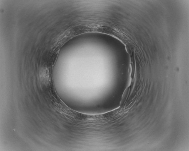 X0000070241347200606051114