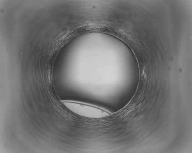 X0000070241348200606051114