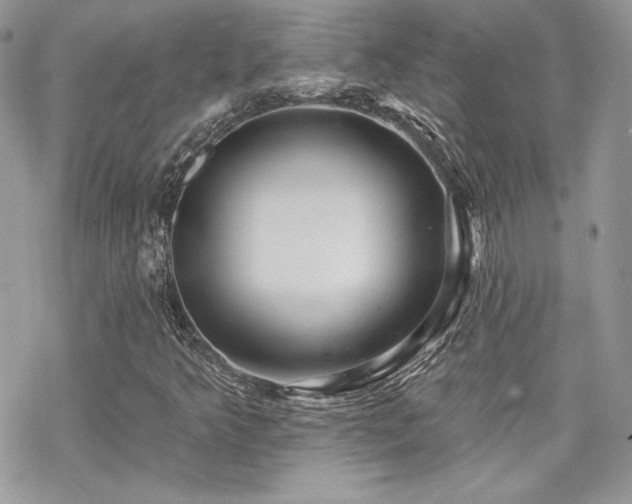 X0000070241349200606051114