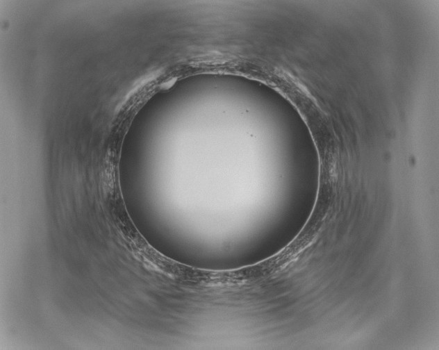 X0000070241350200606051114