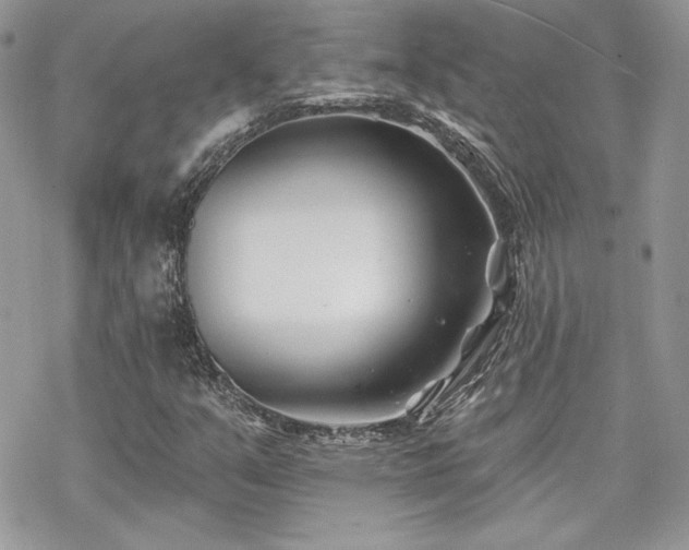 X0000070241351200606051114