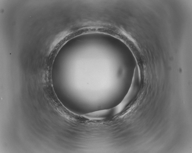 X0000070241352200606051114