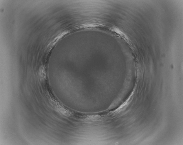 X0000070241353200606051114