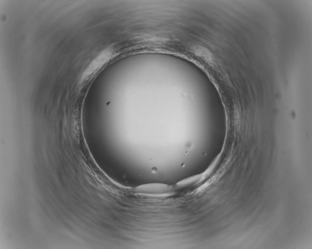 X0000070241354200606051114