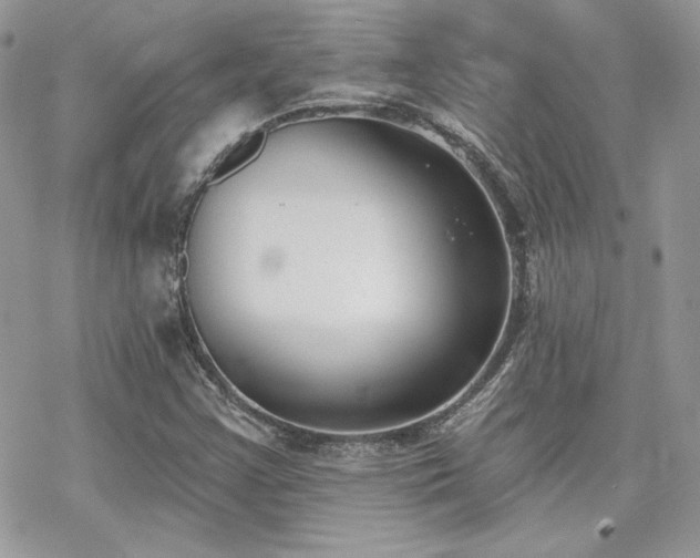 X0000070241355200606051114