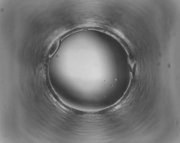 X0000070241356200606051114