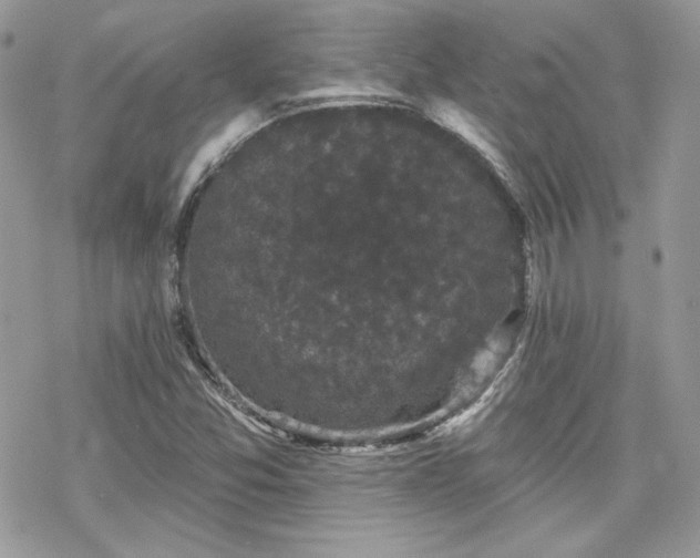 X0000070241357200606051114