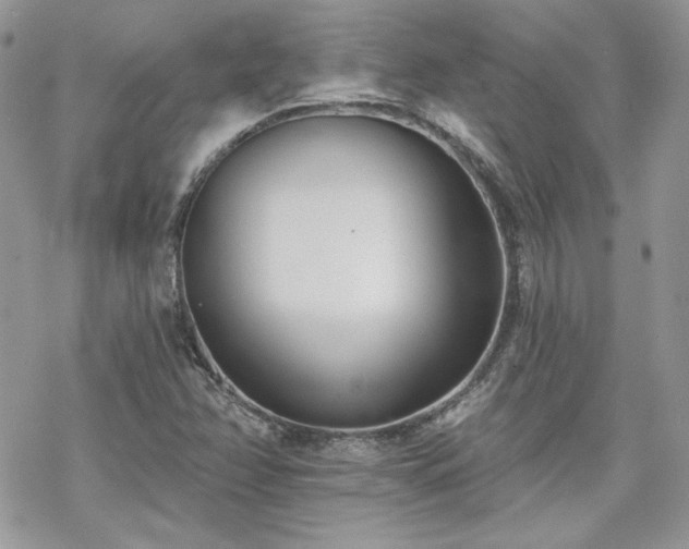 X0000070241358200606051114