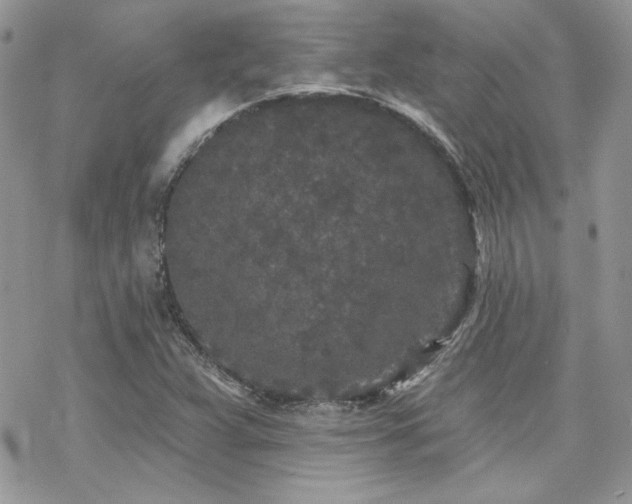 X0000070241359200606051114