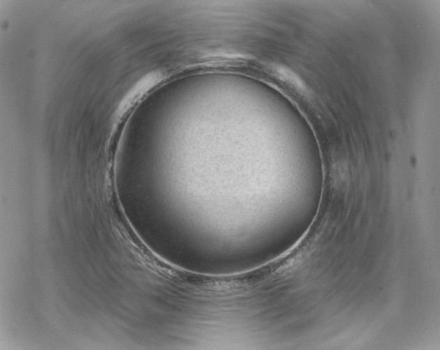 X0000070241362200606051114